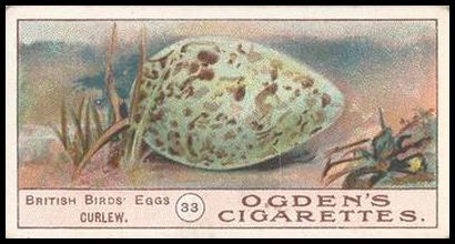 08OBBE 33 Curlew.jpg